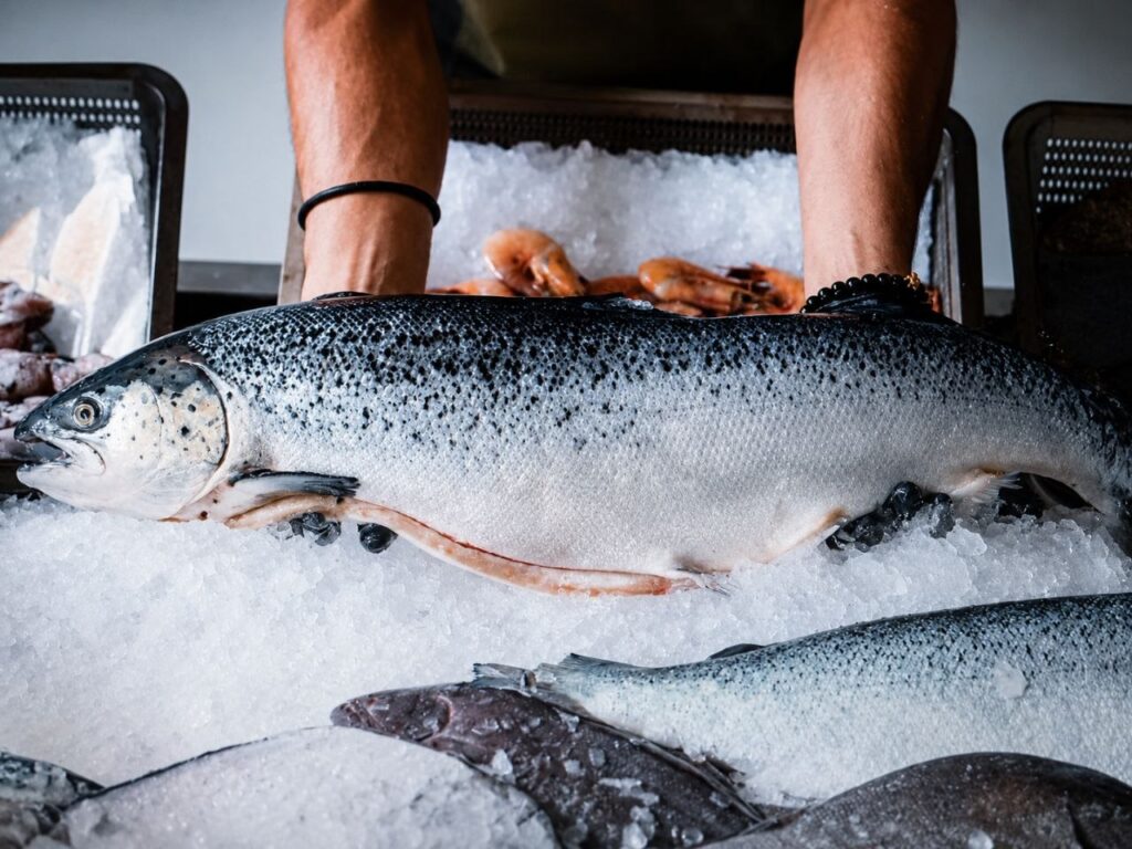 Atlantic Salmon Fish: Habitat, Life Cycle, Fishing, Nutrition and Conservation Guide 5859482161356935208